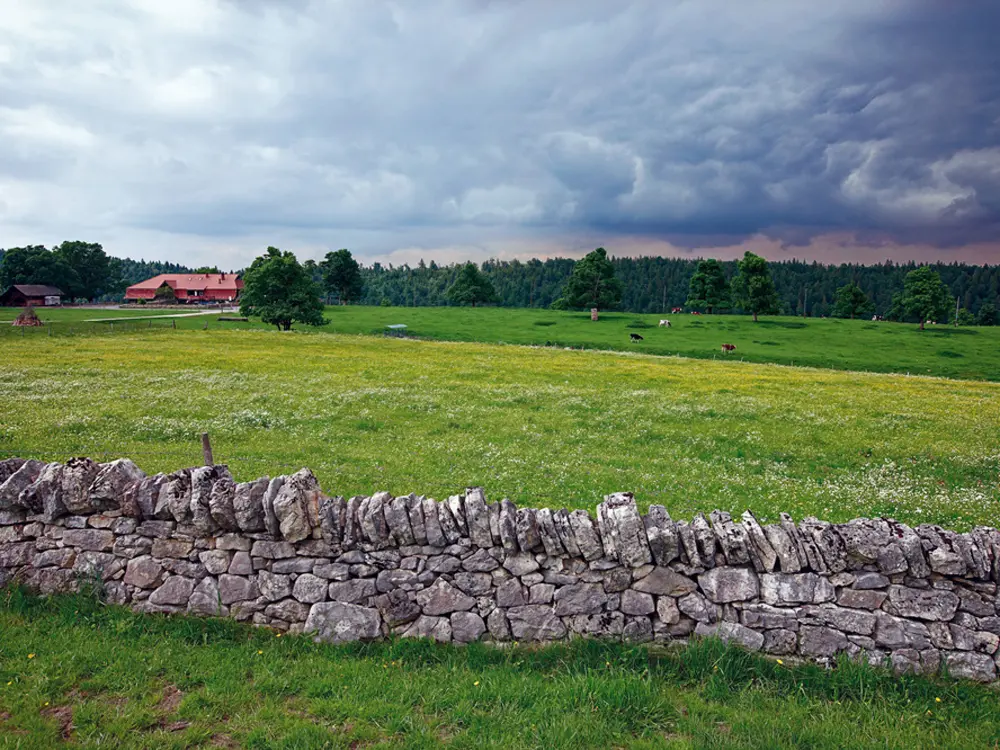 Hügelige Landschaft im Schweizer Jura