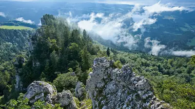 Blick von der Krete Les Sometres in die Schlucht des Doubs