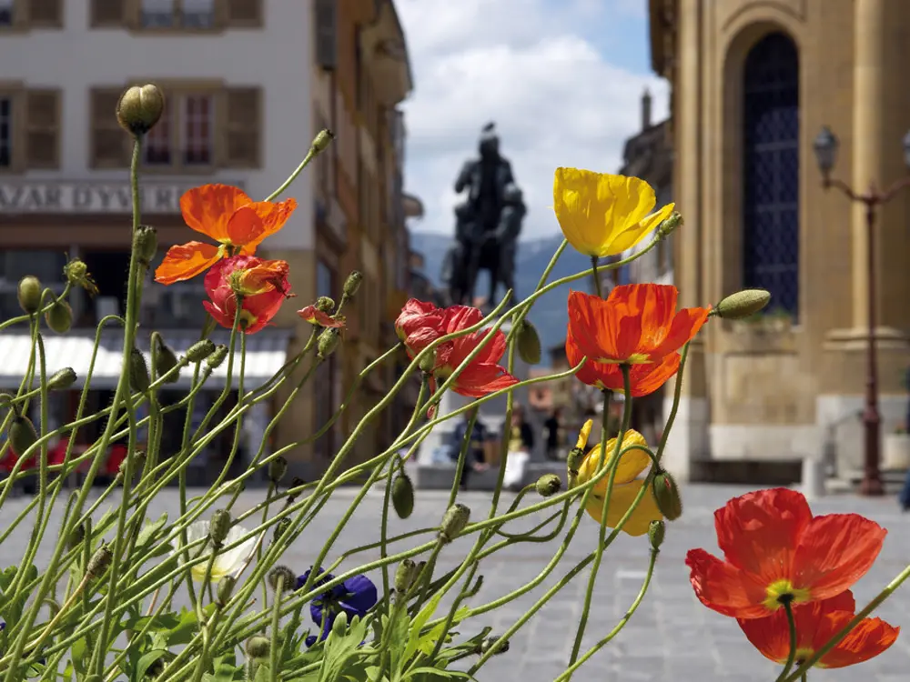 Blumen in der Innenstadt von Yverdon-les-Bains