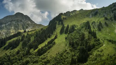 Naturschutzgebiet La Pierreuse unter der Gummfluh