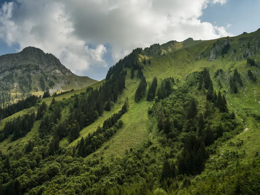 Naturschutzgebiet La Pierreuse unter der Gummfluh