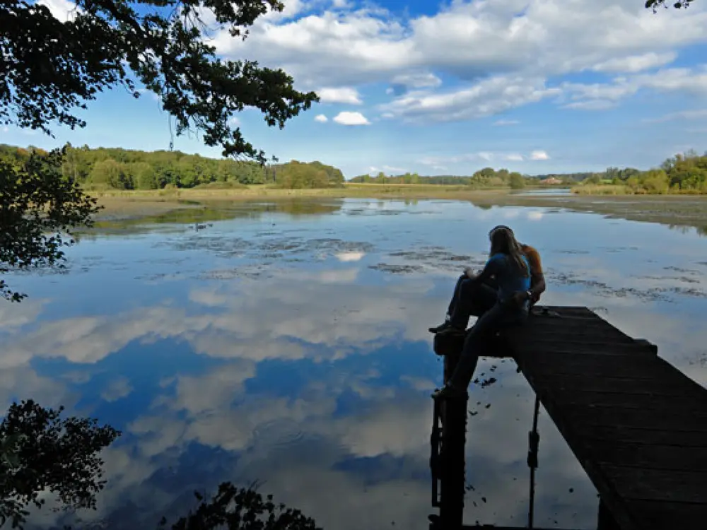 Aussicht auf den Bommer Weiher