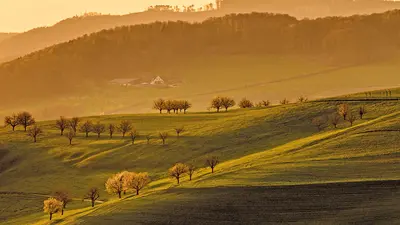 Abendstimmung auf dem Olsberg bei Arisdorf