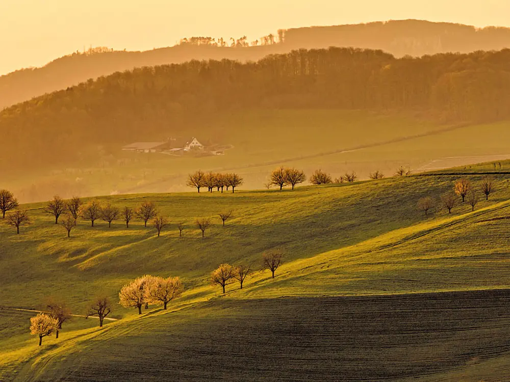 Abendstimmung auf dem Olsberg bei Arisdorf /
