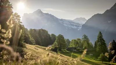 Frühling in Grindelwald