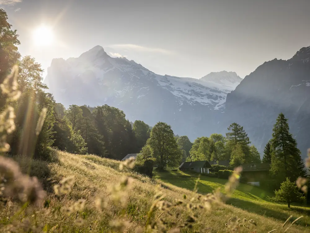 Frühling in Grindelwald