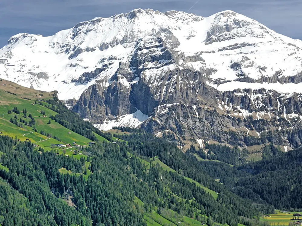 Blick von Lenk im Simmental auf den Wildstrubel /