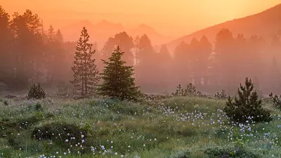 Sonnenaufgang in der Hochmoorlandschaft Glaubenberg im Entlebuch