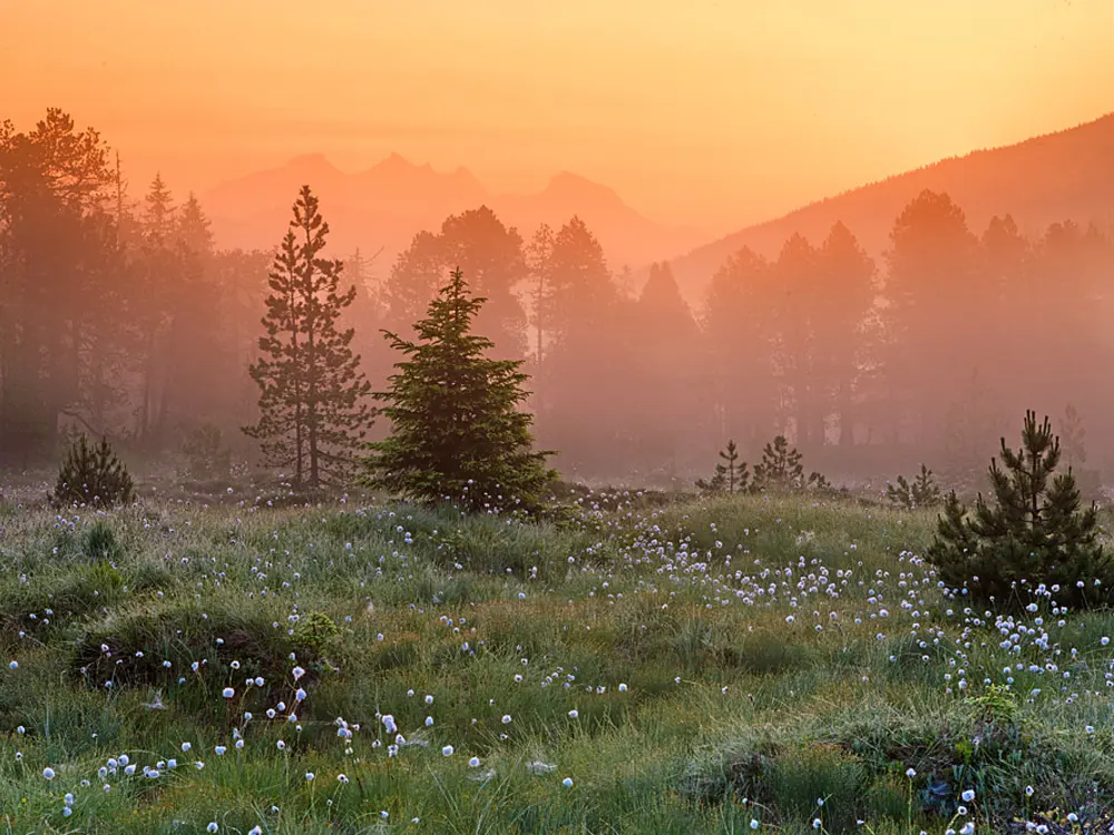 Hochmoorlandschaft Glaubenberg /