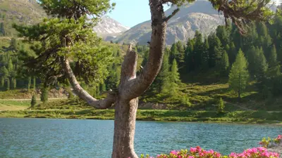 Beeindruckende Natur im Defereggental