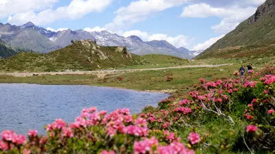 Blick auf den Obersee im Defereggental