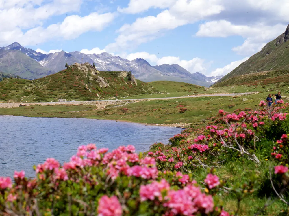 Blick auf den Obersee im Defereggental