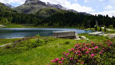 Blick auf den Staller Sattel im Defereggental