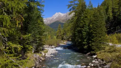 Naturimpressionen Defereggental