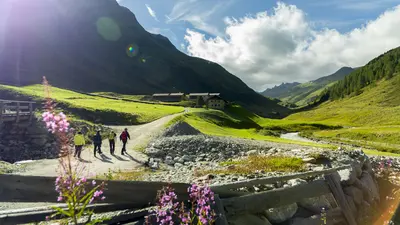 Blick auf die Jagdhausalmen