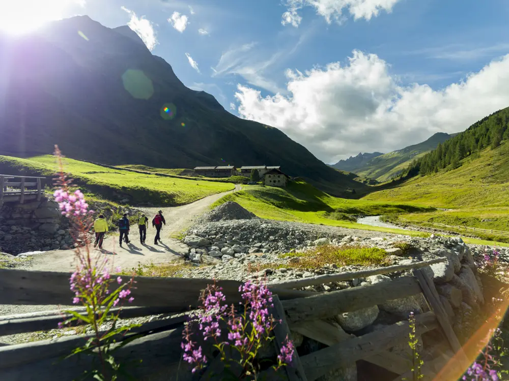 Blick auf die Jagdhausalmen