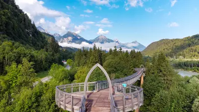 Baumkronenweg Pinswang