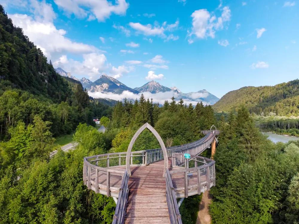 Spektakulärer Weg durch die Bäume