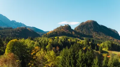 Bergherbst Ehrenberg