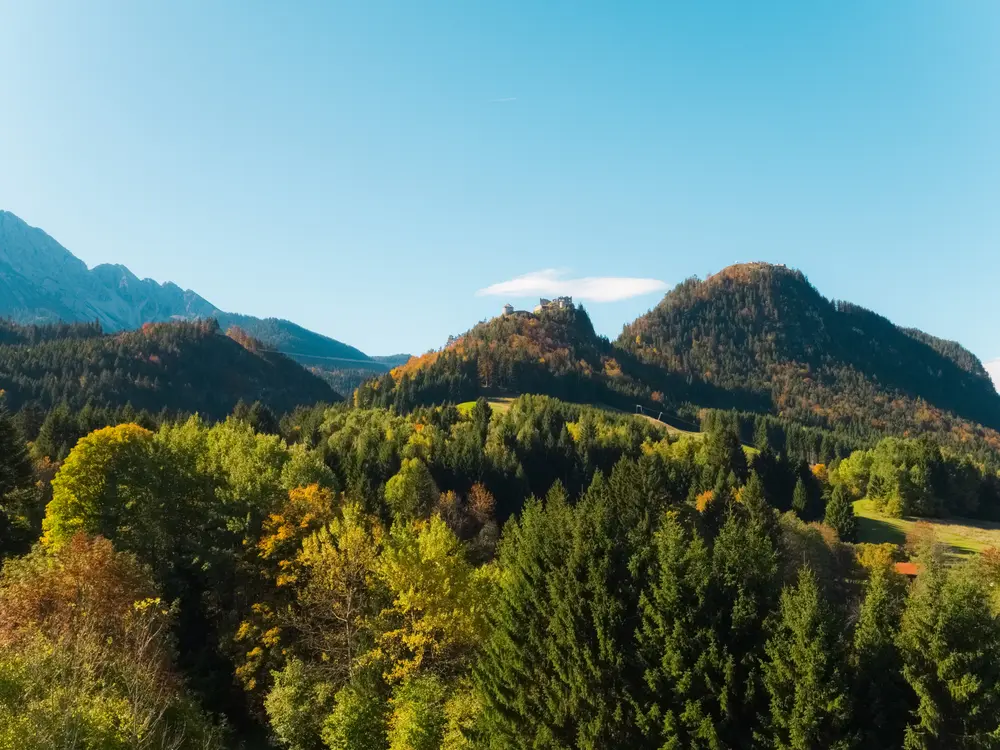 Bergherbst Ehrenberg