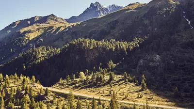 Klettergarten Fernergriess