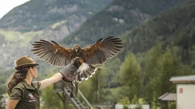 Greifvogelpark Umhausen