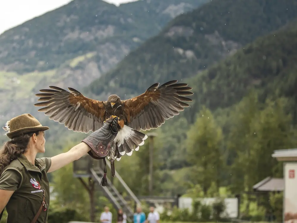 Greifvogelpark Umhausen