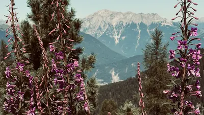 Impressionen aus dem Ötztal