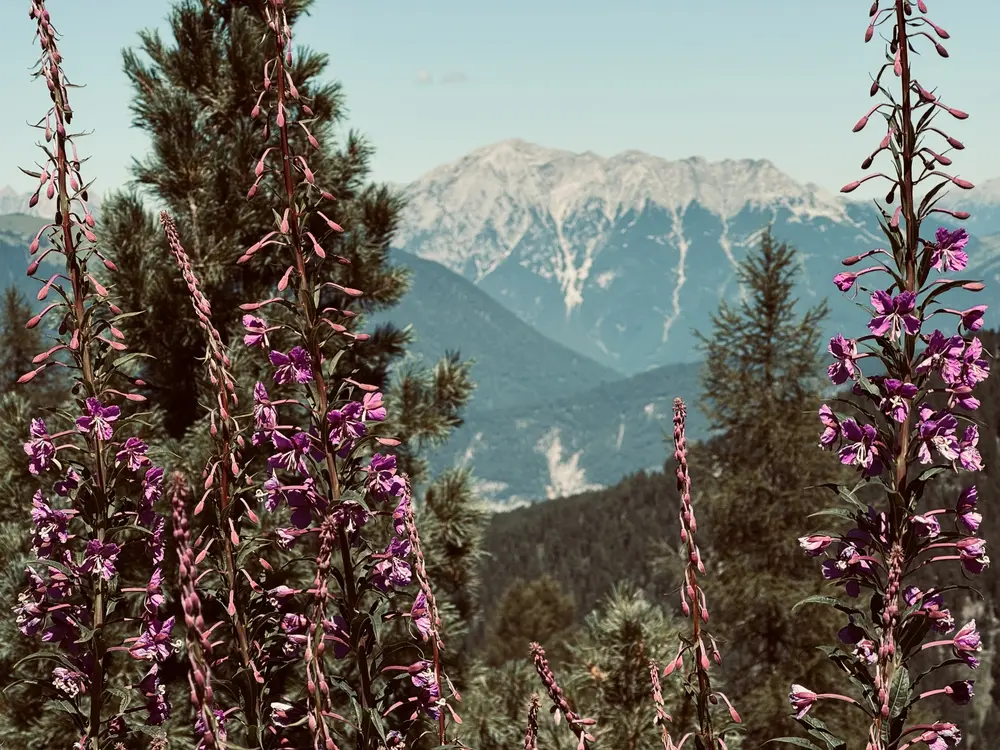 Impressionen aus dem Ötztal