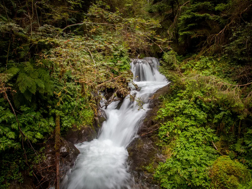 Die Erdpyramiden im Waldertal zwischen Roppen und Arzl im Pitztal, sind kleine Wunder der Natur. Nur unter ganz speziellen Klimabedingungen wittern diese bizarren Türme mit Steinhut aus den Moränen eh