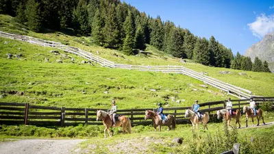 Reiten im Pitztal