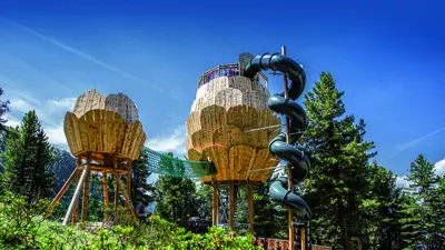 Zirbenpark Hochzeiger im Pitztal