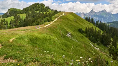 Wandern im Tannheimer Tal