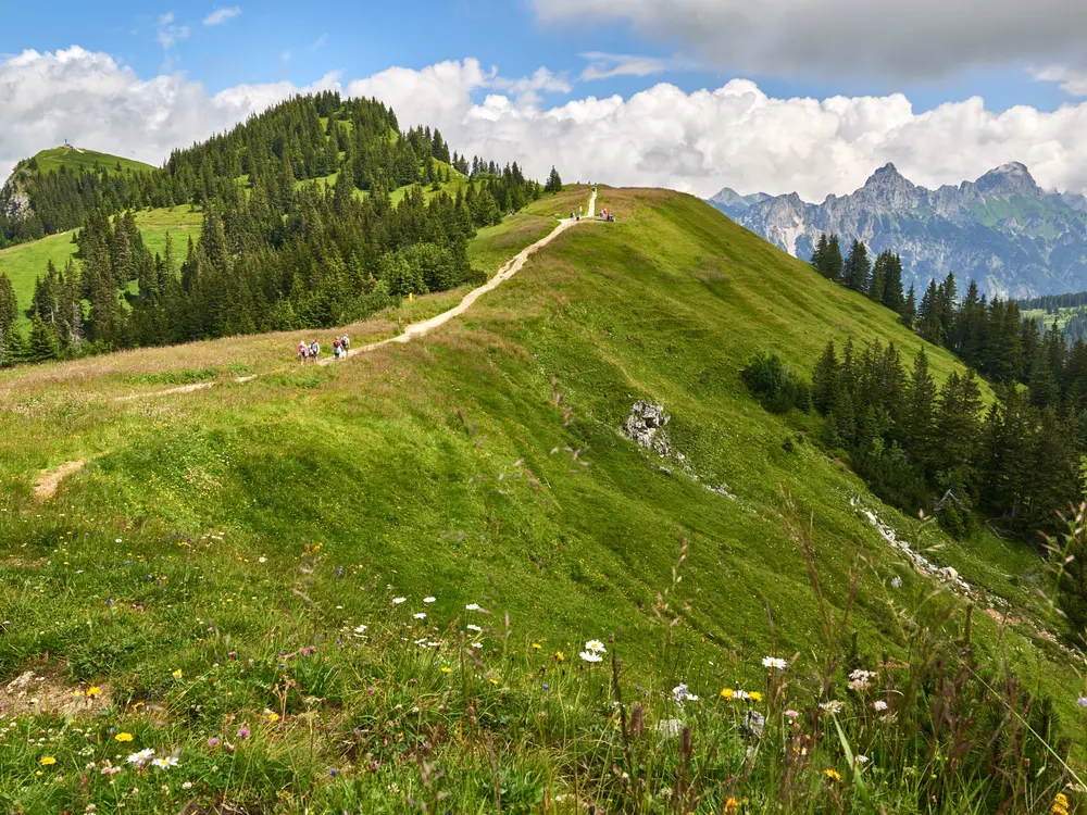 Erlebnispfad Neunerköpfle Tannheim