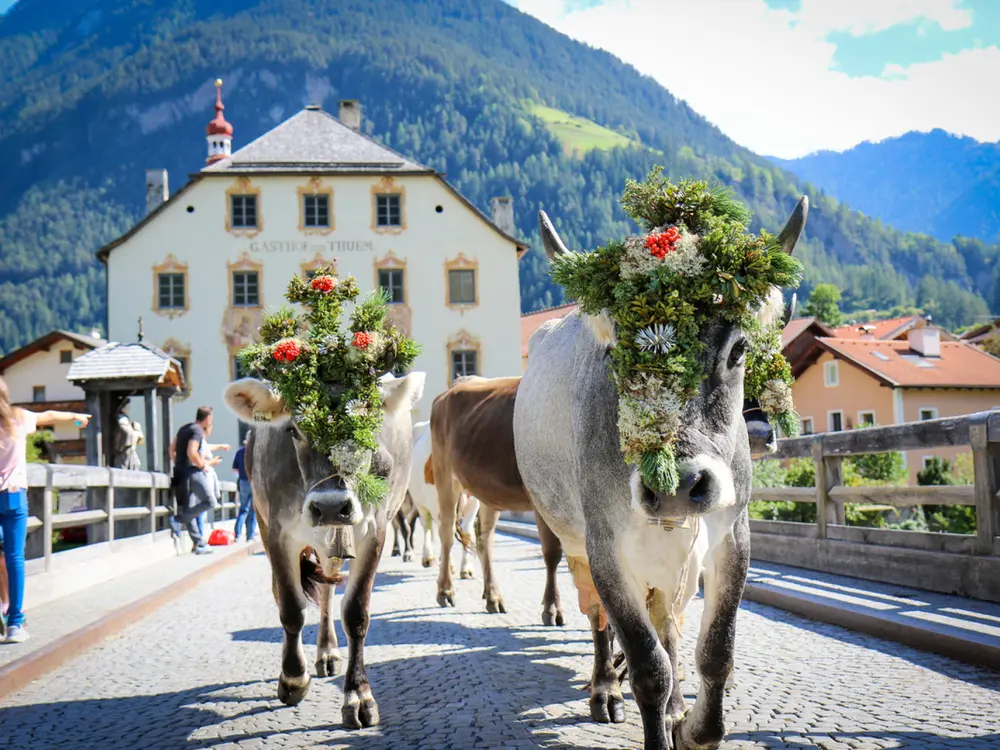 Almabtrieb in Pfunds