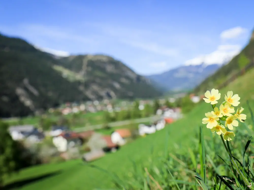 Frühling im Tiroler Oberland