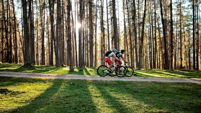 Biken im Lärchenwald in der Zugspitz Arena