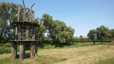 Die Freiluftgalerie Andau