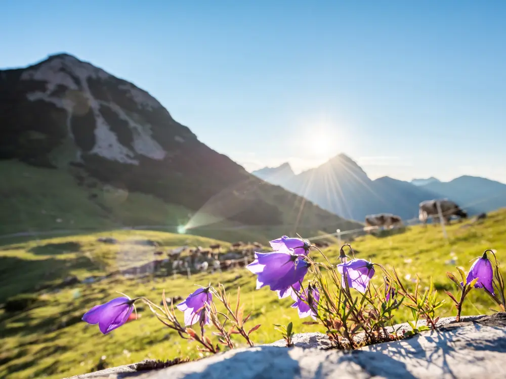 Hohljoch Eng in der Silberregion Karwendel