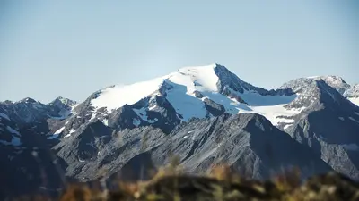 Wilder Freiger Stubaital