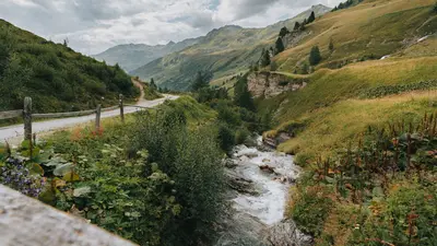 Naviser Almenrunde im Wipptal