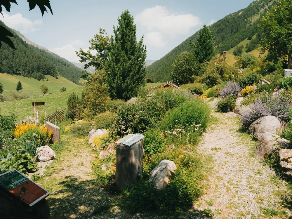 Ortskern von Schmirn im Sommer mit dem Alpenblumengarten im Ortsteil Toldern
