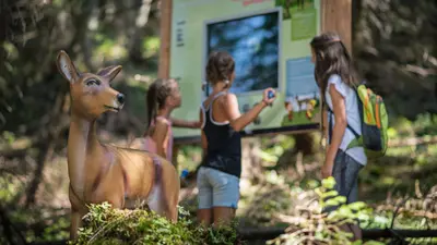 Rundwanderweg am Zwölferkopf