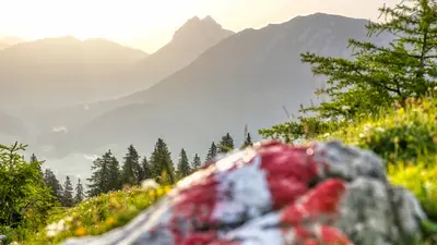 Hochplatte in Achenkirch am Achensee