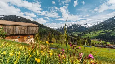 Sommerlandschaft im Alpbachtal