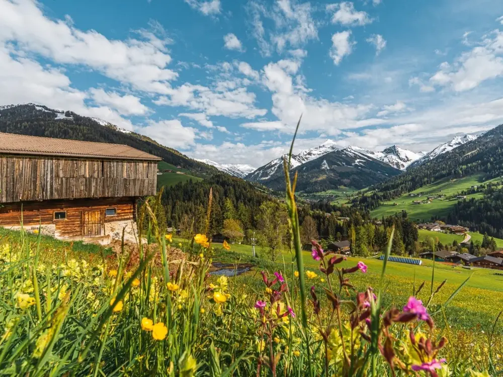 Sommerlandschaft im Alpbachtal