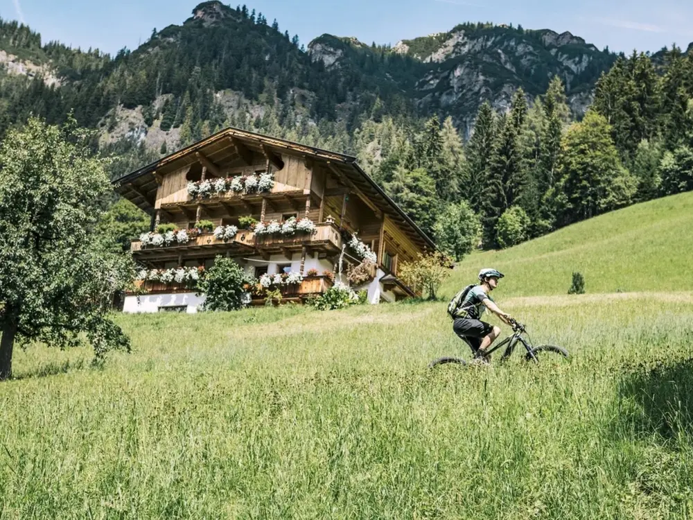 Mountainbiker in einer Sommerwiese im Alpbachtal