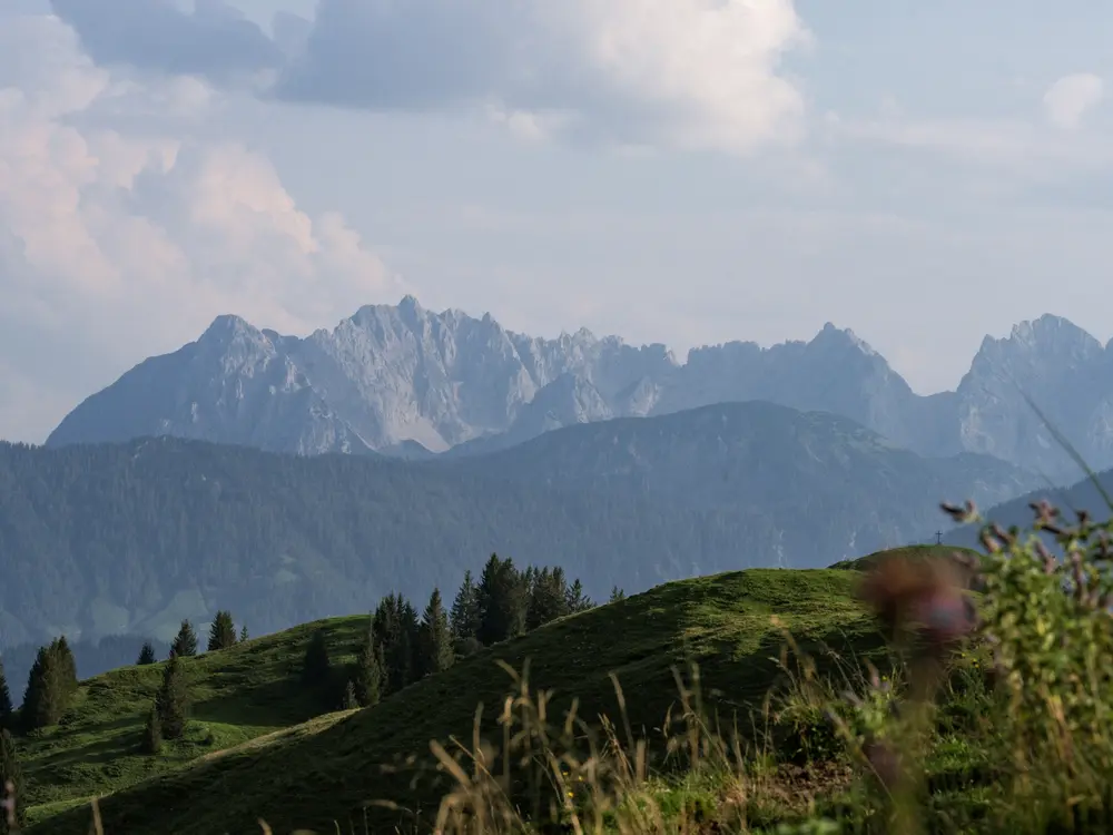 Sommer im Kaiserwinkl