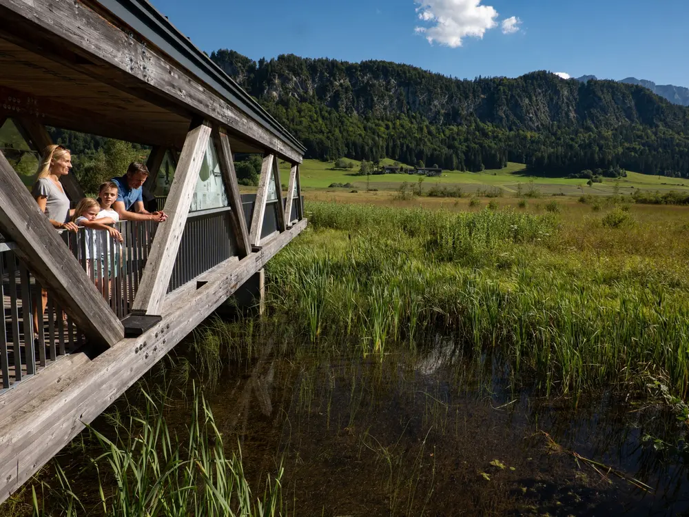 Nordtirols größte Moorlandschaft ist die Schwemm bei Walchsee