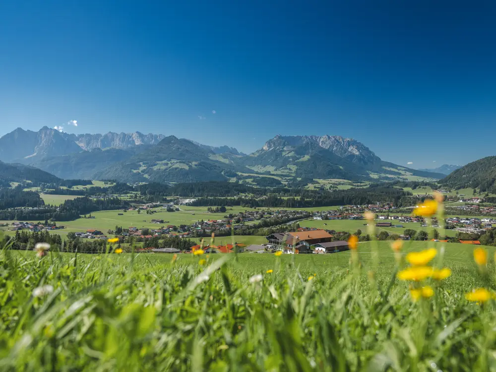 Landschaftsaufnahme im Kaiserwinkl mit blühenden Bergwiesen